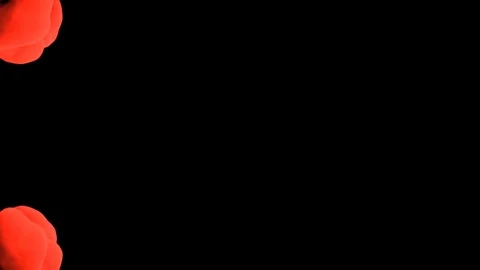 Abstract stylized Red ink drop in water on a black background V21 Stock-Footage 87568813