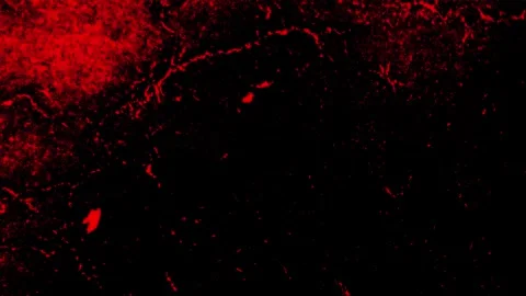 Abstract Subtle Textures – Minimal Seamless Backgrounds Video stock 316455205