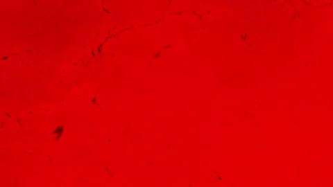 Abstract Subtle Textures – Minimal Seamless Backgrounds Video stock 316455241