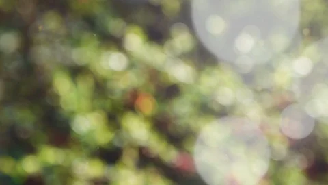 Abstract summer background with bokeh Stock Footage 106851161