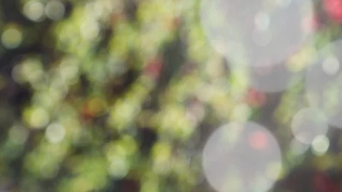 Abstract summer background with bokeh Stock Footage 106851942