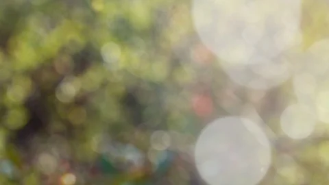 Abstract summer background with bokeh Stock Footage 106852492
