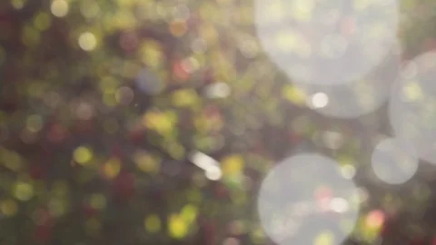 Abstract summer background with bokeh Stock Footage 106852502