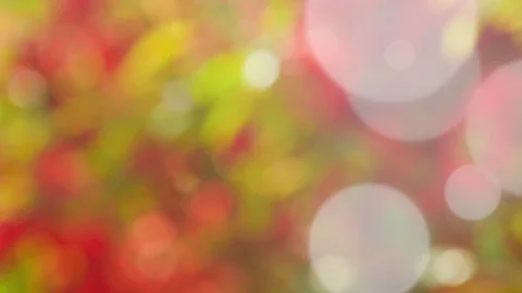 Abstract summer background with bokeh Stock Footage 107294575