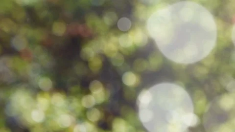 Abstract summer background with bokeh Stock Footage 107294581