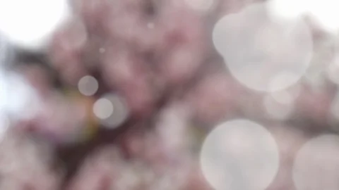 Abstract summer background with bokeh Stock Footage 107694101