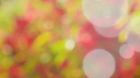 Abstract summer background with bokeh Stock Footage 107694160