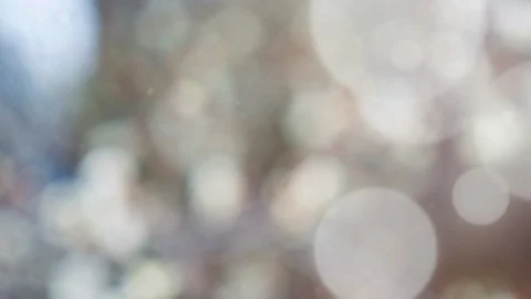 Abstract summer background with bokeh Video stock 108348241