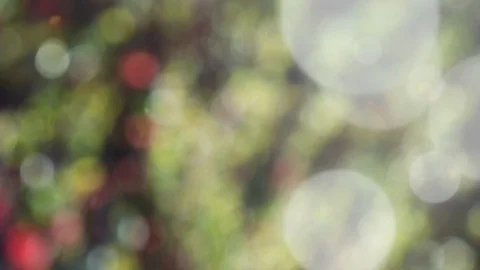 Abstract summer background with bokeh Stock Footage 108348386