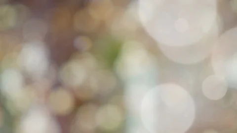 Abstract summer background with bokeh Stock Footage 108349448