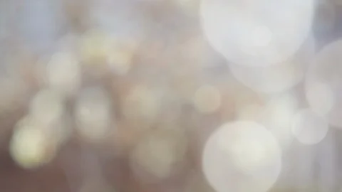 Abstract summer background with bokeh Stock Footage 108349578