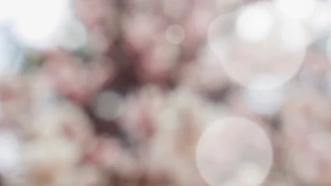 Abstract summer background with bokeh Stock Footage 108350561