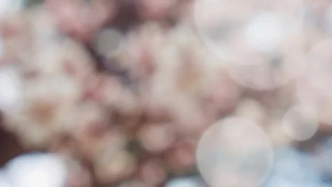 Abstract summer background with bokeh Stock Footage 108350723