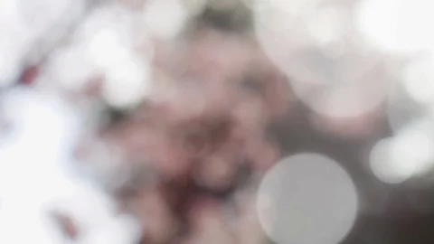 Abstract summer background with bokeh Stock Footage 108351985