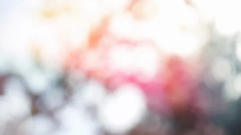 Abstract summer background with bokeh Stock Footage 108817127