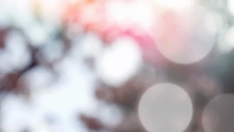 Abstract summer background with bokeh Stock Footage 108817234