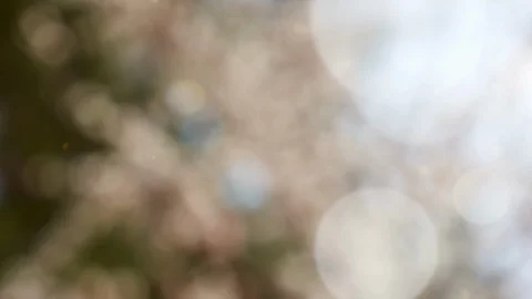 Abstract summer background with bokeh Stock Footage 108818785