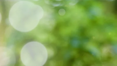 Abstract summer background with bokeh Stock Footage 108818845