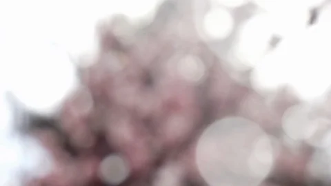 Abstract summer background with bokeh Stock Footage 108820011