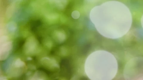 Abstract summer background with bokeh Stock Footage 108820064