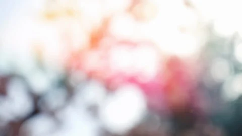 Abstract summer background with bokeh Stock Footage 109187654