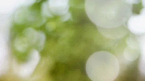 Abstract summer background with bokeh Stock Footage 109672978