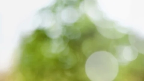 Abstract summer background with bokeh Stock Footage 109676208