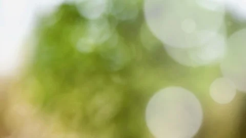Abstract summer background with bokeh Stock Footage 109676381