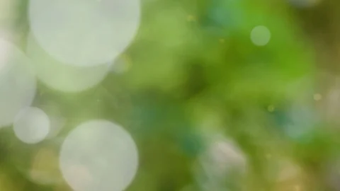 Abstract summer background with bokeh Stock Footage 109679108