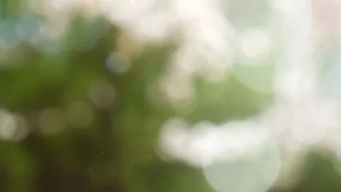 Abstract summer background with bokeh Stock Footage 109679834