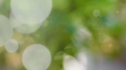 Abstract summer background with bokeh Stock Footage 109682231