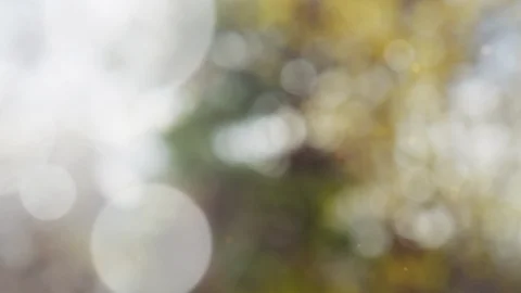 Abstract summer background with bokeh Stock Footage 111606565