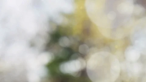 Abstract summer background with bokeh Stock Footage 111608639