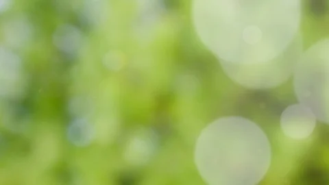 Abstract summer background with bokeh Stock Footage 111610899