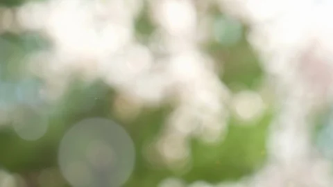 Abstract summer background with bokeh Stock Footage 111612729