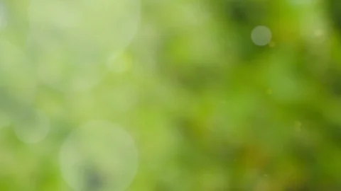 Abstract summer background with bokeh Stock Footage 113030932