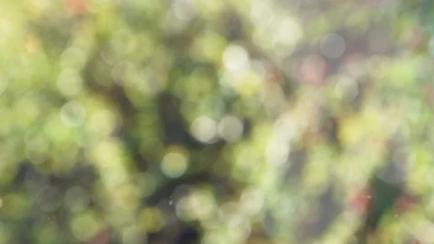 Abstract summer background with bokeh Video stock 113031305