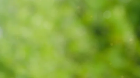 Abstract summer background with bokeh Video stock 113606093