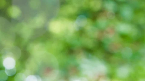 Abstract summer background with bokeh Stock Footage 114407264