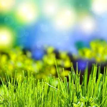 Abstract summer background with grass Stock Photos