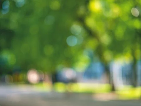 The abstract summer background of the path in the green park, poor focus. Stock Photos