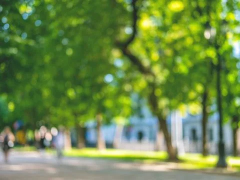 The abstract summer background of the path in the green park, poor focus. Stock Photos