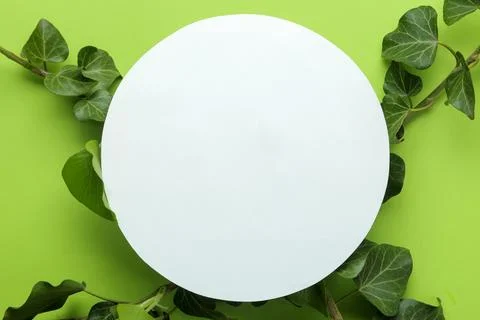 Abstract summer composition. Blank for text and beautiful green ivy leaves on Stock Photos