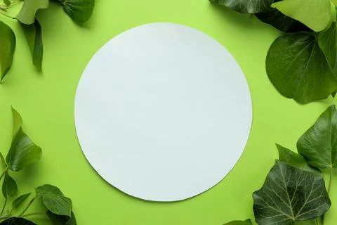 Abstract summer composition. Blank for text and beautiful green ivy leaves on Stock Photos
