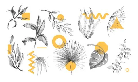 Abstract summer elements, modern shapes. Minimal spring tropical leaf, exotic Illustrazione stock