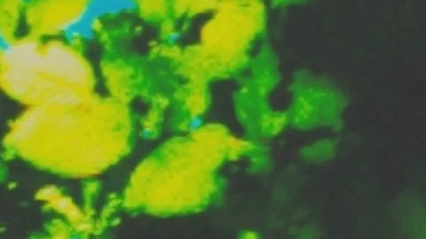 Abstract summer motion background Stock Footage 95407261