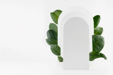 Abstract summer scene mockup for presentation cosmetic product, design, adver Stock Photos