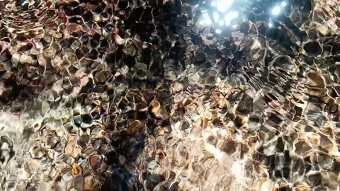 Abstract Sun Glare and Caustic Ripples on Clear River Water Surface Stock Footage 339549933