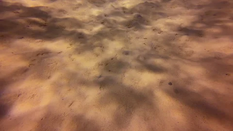 Abstract sun rays on ocean floor Stock Footage 317190025