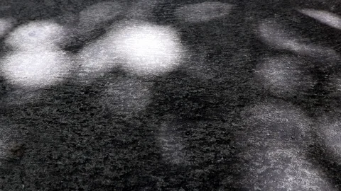 Abstract sunlight and shadow of tree leaves on concrete ground Stock Footage 122231456